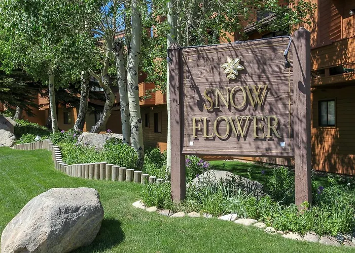 Snowflower #81 Condo